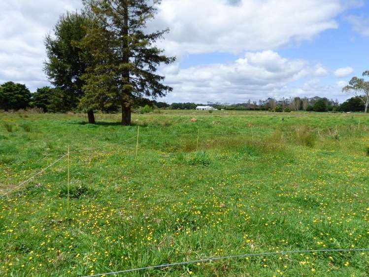 331d Waipapa Road Kerikeri Surrounds_3