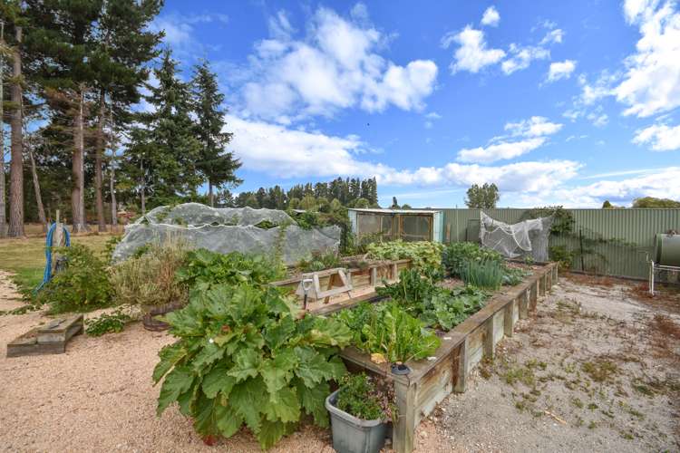 21 Helensbrook Road Milton_20