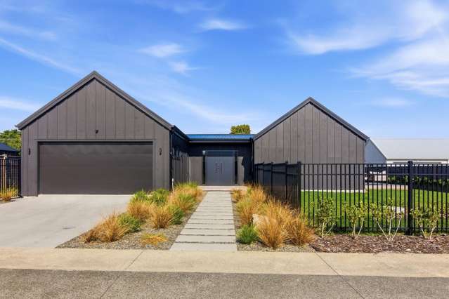 Bold, Beautiful & Near New