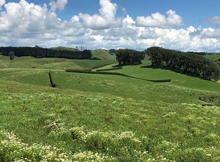 1564 State Highway 31 Kawhia Road Otorohanga_31