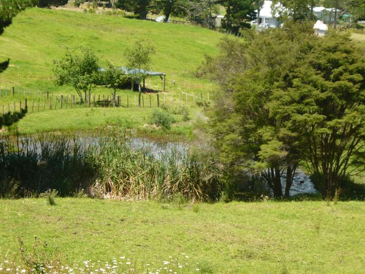 843 Whakapirau Road Whakapirau_18