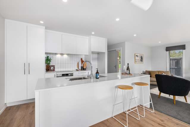 81B Havelock Street Renwick_2