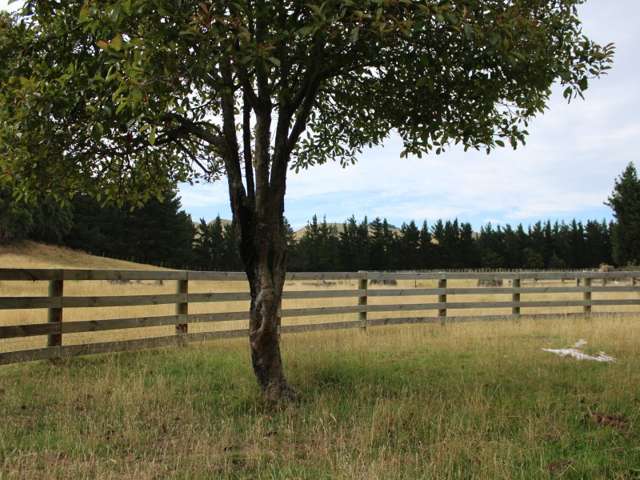 38 Goodeve Road Ormondville_2