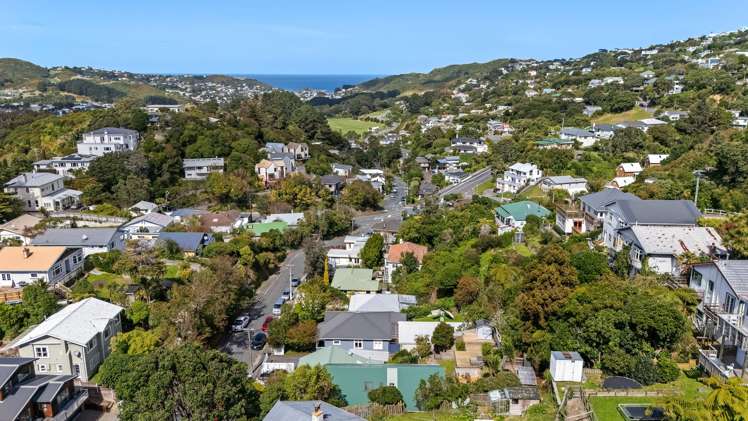 12 Liardet Street Vogeltown_9