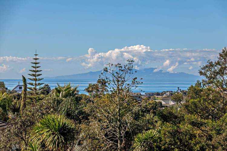 147 Glenvar Road Torbay_22