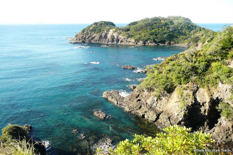 Lot 1&7 Clements Road Matapouri_18