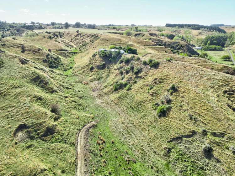 47 Ngatarua Road Putiki_21