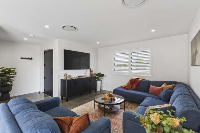 247 Huatoki Street Vogeltown_4