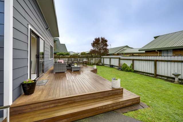 131 Auckland Road Greenmeadows_4