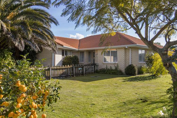4 Preston Drive Katikati_15