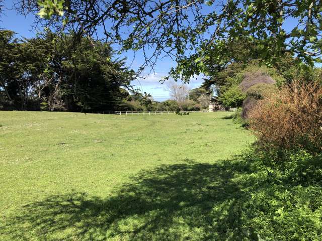 26 Buxton Road Westmere_1