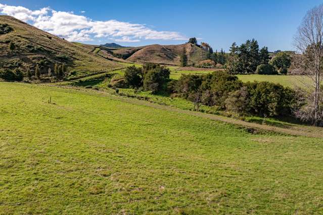 52 Little Pokororo Road Motueka Valley_4