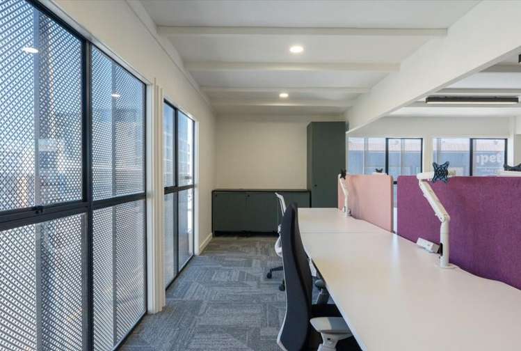 7 Rose Road Grey Lynn_6