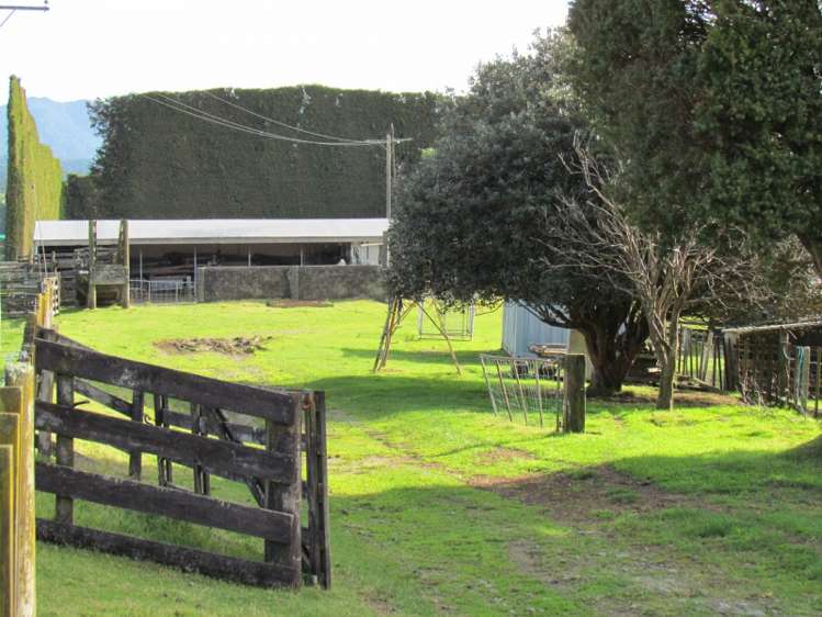 402 Youngson Road Whakamarama_5