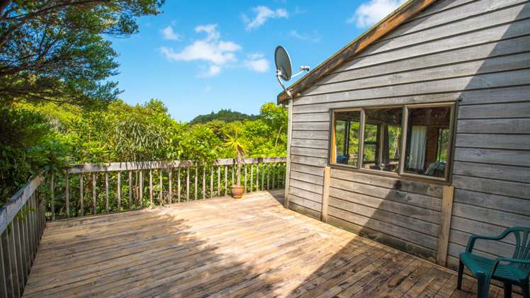 20 La Trobe Track Karekare_7