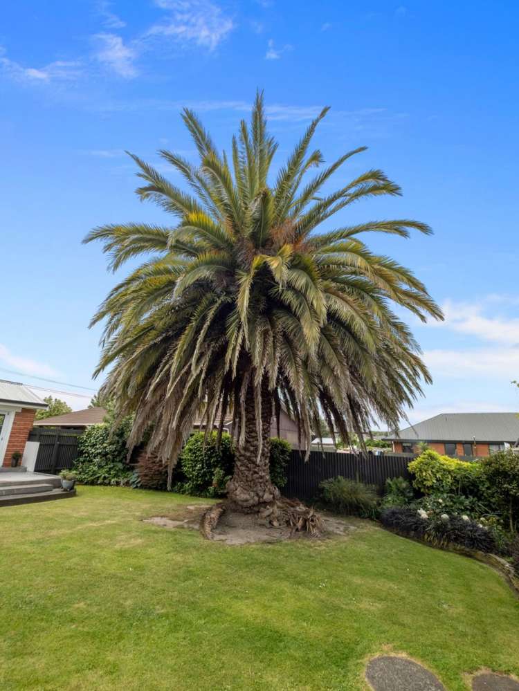 41 Thomson Street Tinwald_27