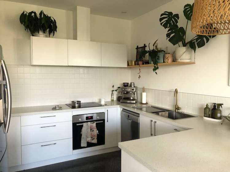 15 Radisich Place Mount Maunganui_3