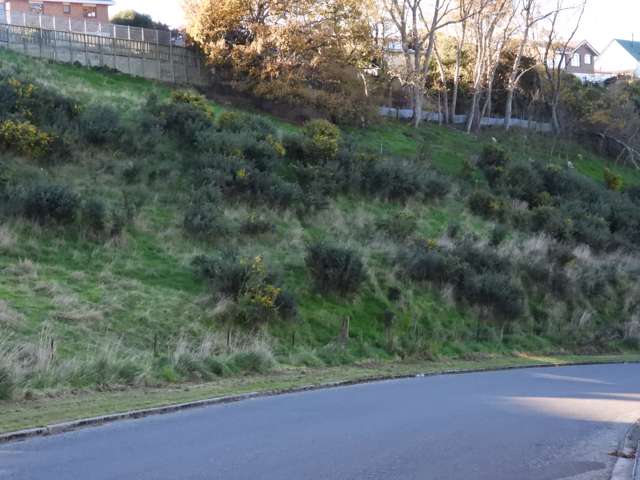 Lot Lot 33 Ashburn Street Oamaru_1