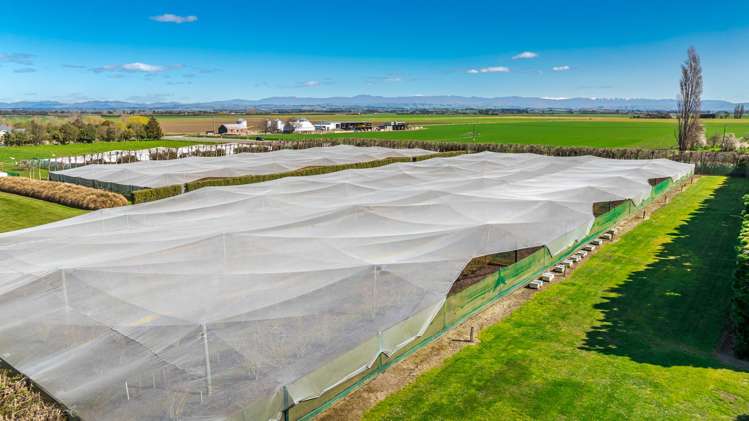 16 Arowhenua Station Road Kerrytown_87