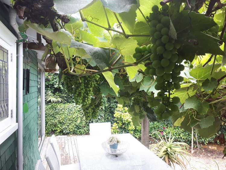 36 Clarence Street Devonport_15