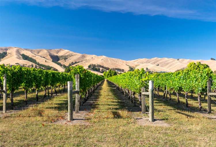 218 Alabama Road Riverlands_17