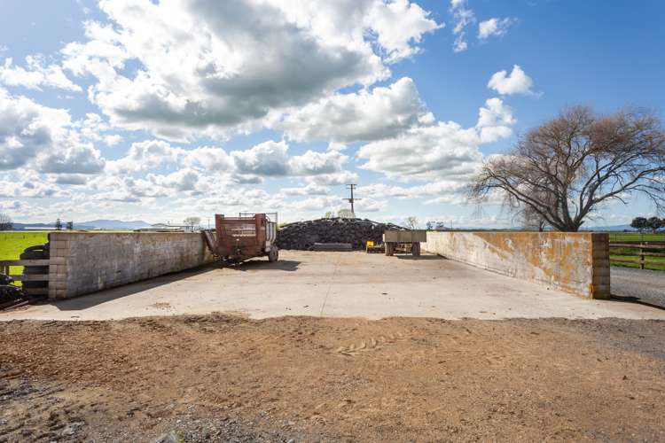 768 Piako Road Gordonton_11