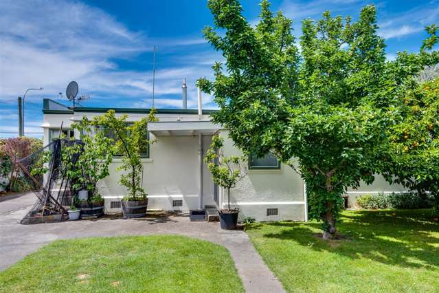 934 Oliphant Road Raureka_4