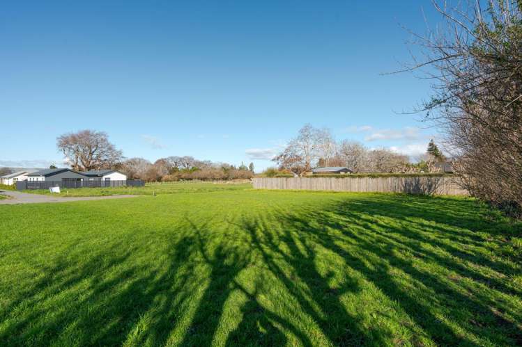 4B Stevens Drive Greytown_7