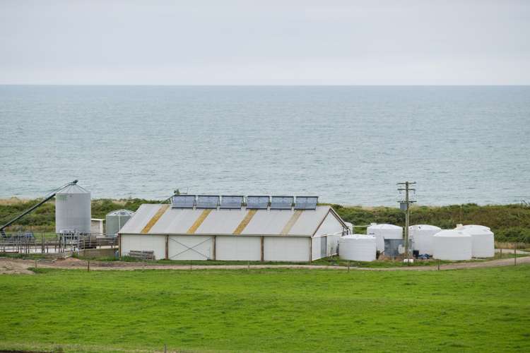 46 Clarkes Road, Glenledi Milton_5