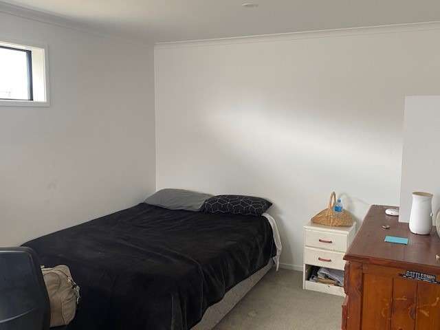 49 Plover Street One Tree Point_2