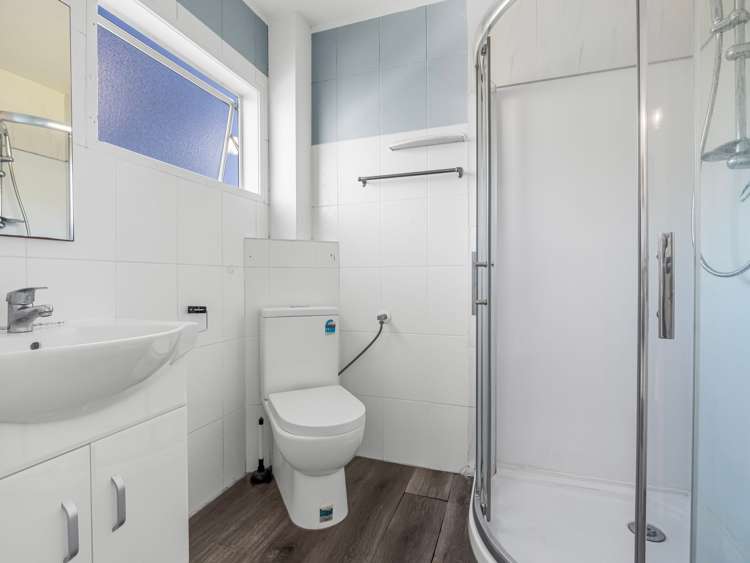 38 Fred Woodward Place Mount Roskill_18