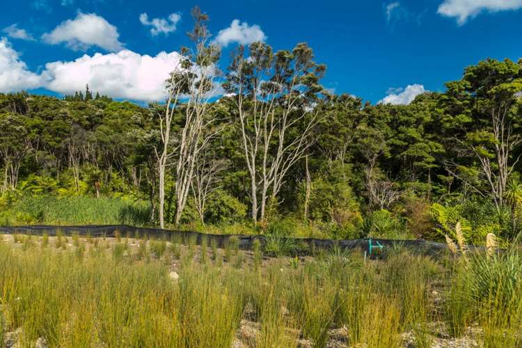 5 Bight Road Long Bay_14