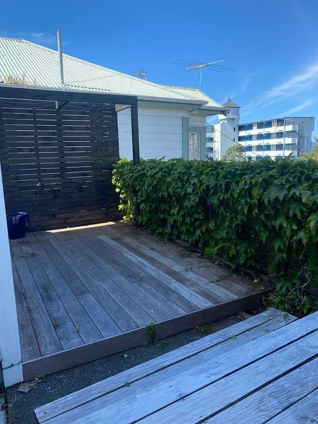 14 Brooklyn Road Aro Valley_1