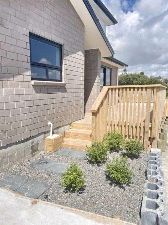 White Swan Road Mt Roskill_2