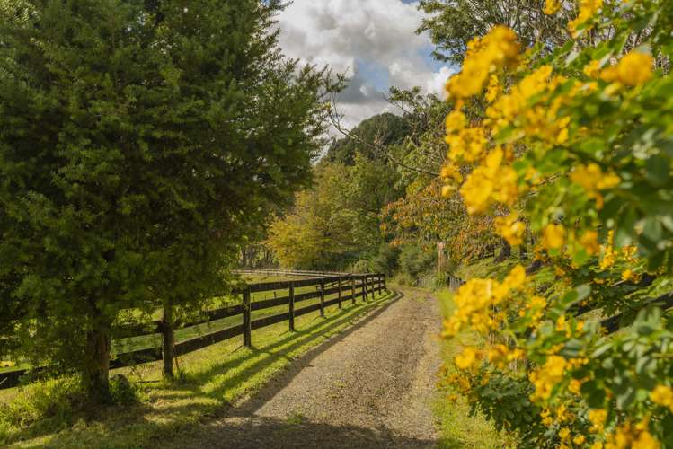 555 Mill Creek Road Kaimarama_29