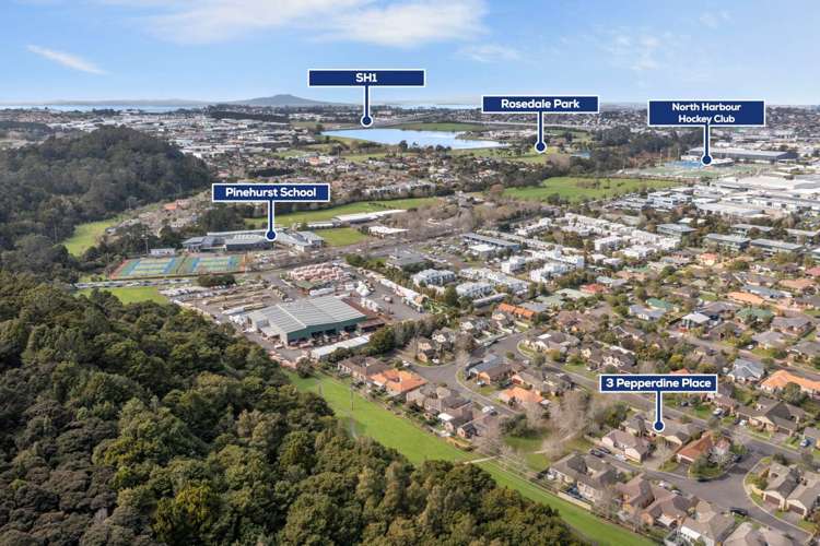 3 Pepperdine Place Albany_2