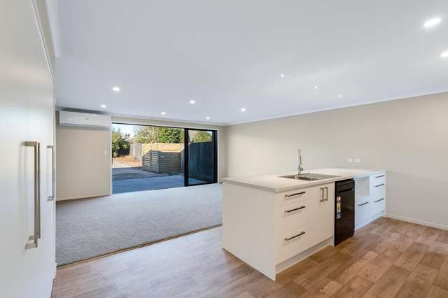 119B Williams Street 11373_4