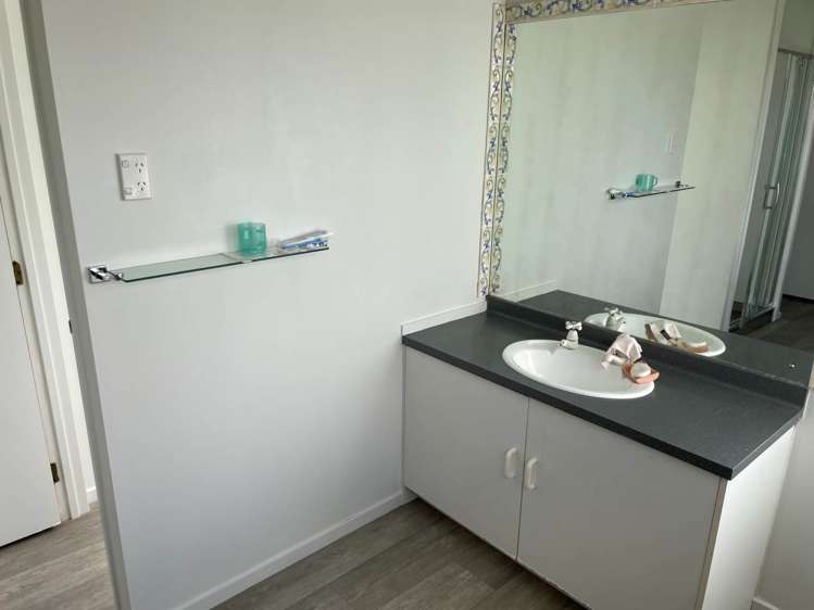 39 Palomino Drive Henderson_20