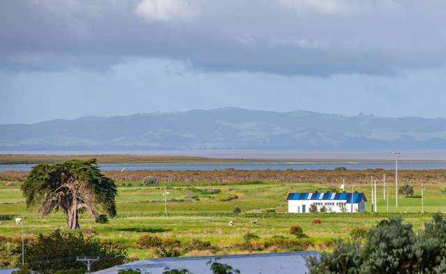 104 Hays Place Thames_2