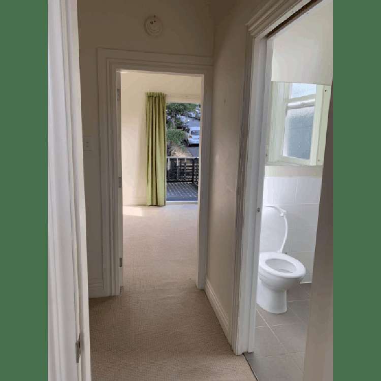 5 Devon Street Aro Valley_16