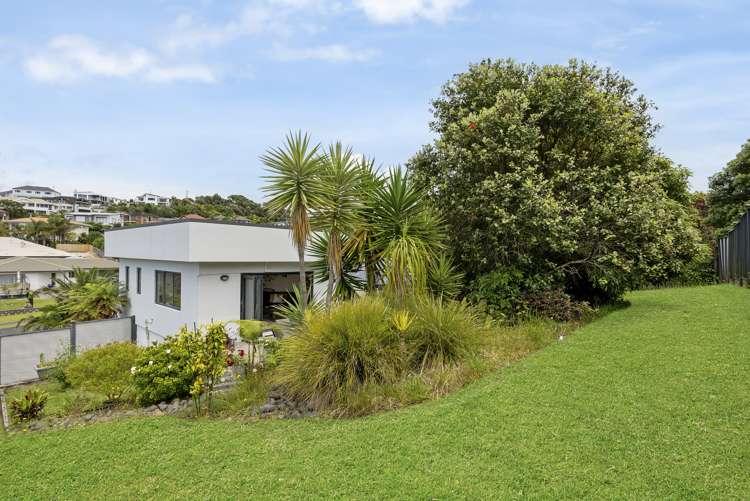 3 Ambassador Glade Orewa_17