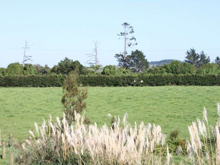 1355 Mountain Road Inglewood_35