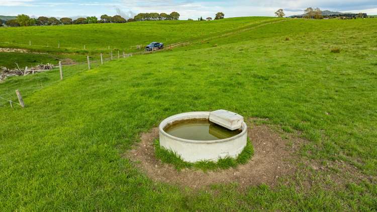 1241 Blythe Road Domett_30