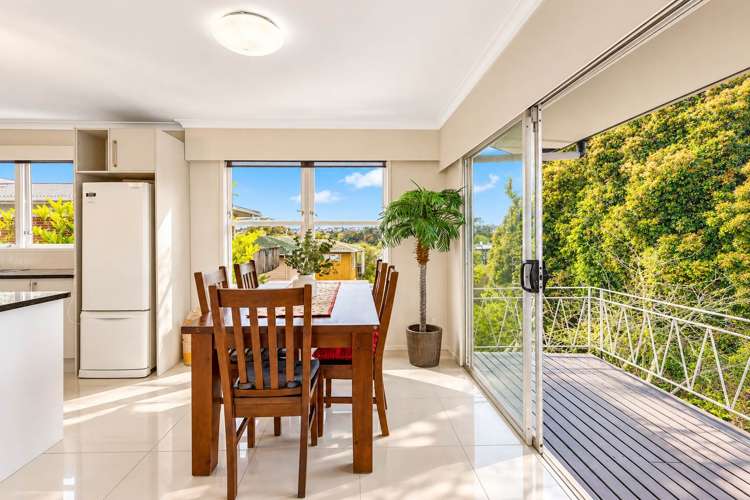 14 Tropicana Drive Mt Roskill_8