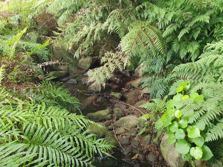 17b Okura Drive Kerikeri_10