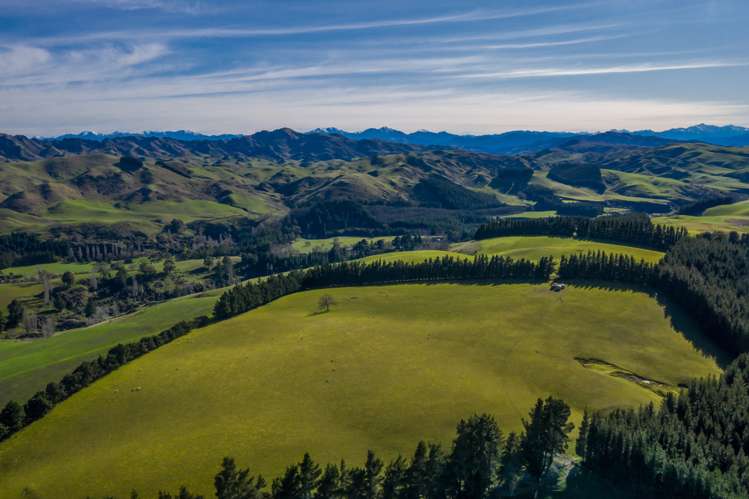 387 Eggleston Road Cheviot_6