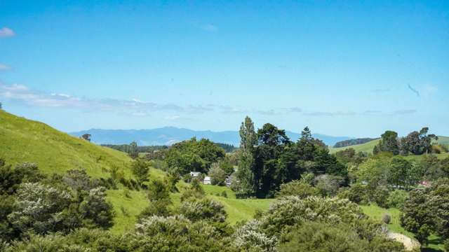 Lot 2 3315 State Highway 2 Waitakaruru_3