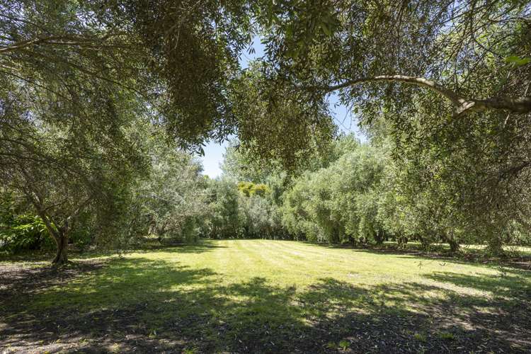 50 Mahanga Road Parua Bay_3