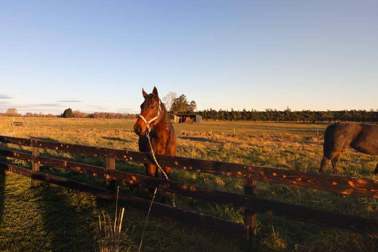 183 Terrace Road Cust_17