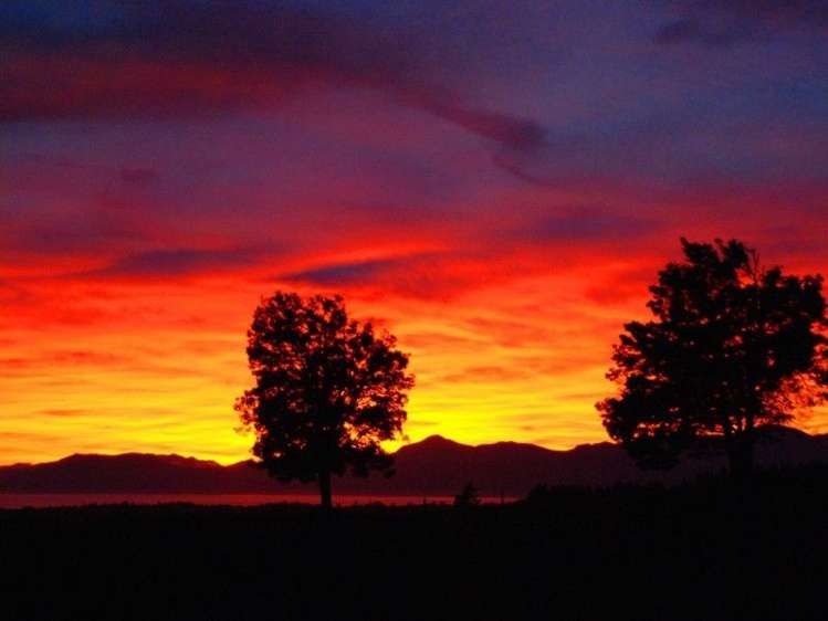 680 Neudorf Road Upper Moutere_25